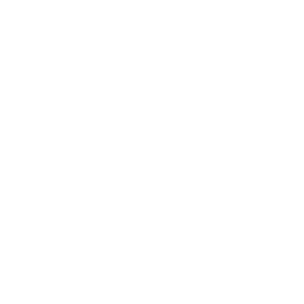 Estilo Tropical